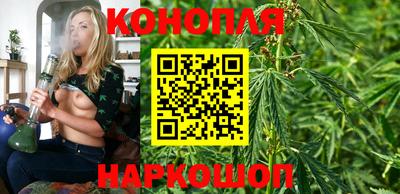 дурь Кудрово
