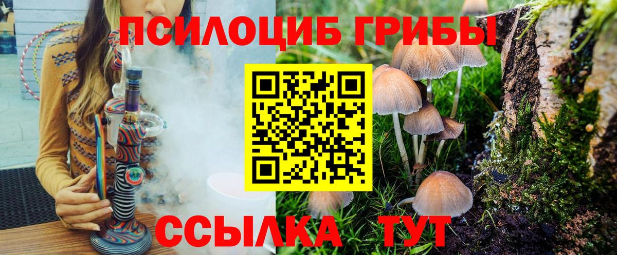 закладка  Галлюциногенные грибы Cubensis  Вход с VPN  Карталы 